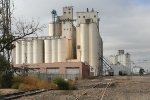 Grain plant